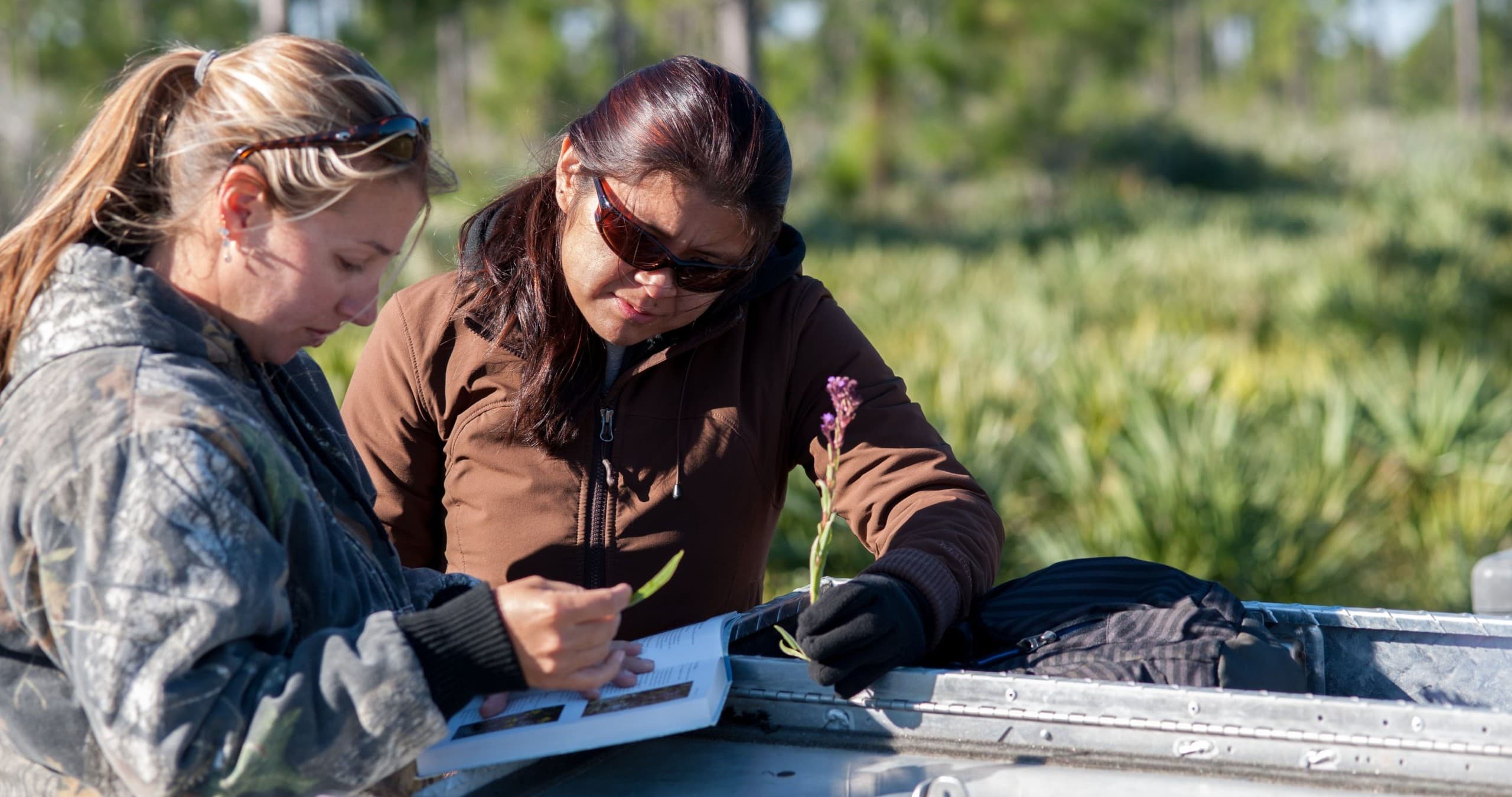 Two Ecological Associates scientists identifying a plant specimen in the field